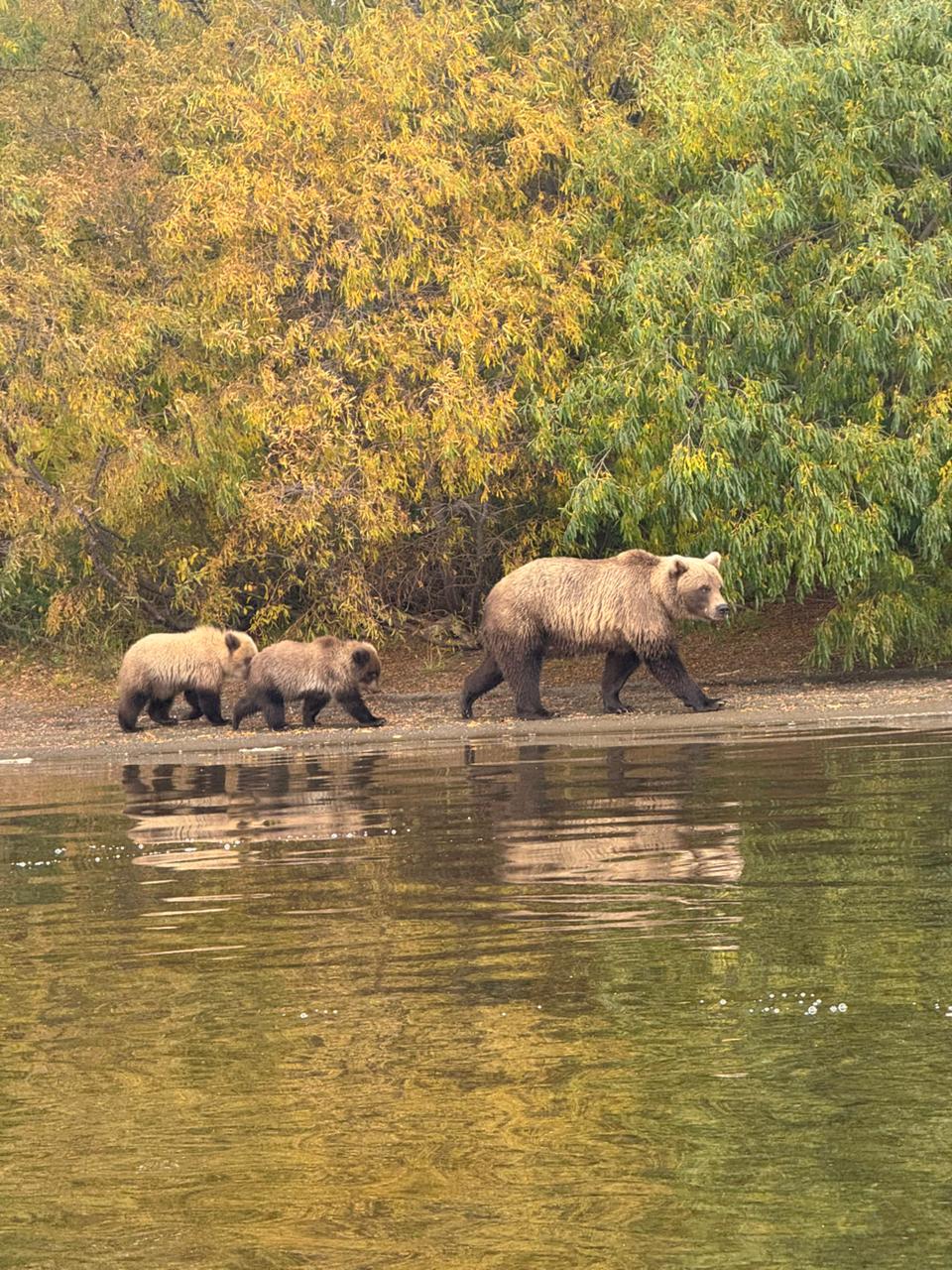 Трансфер в Камчатском крае