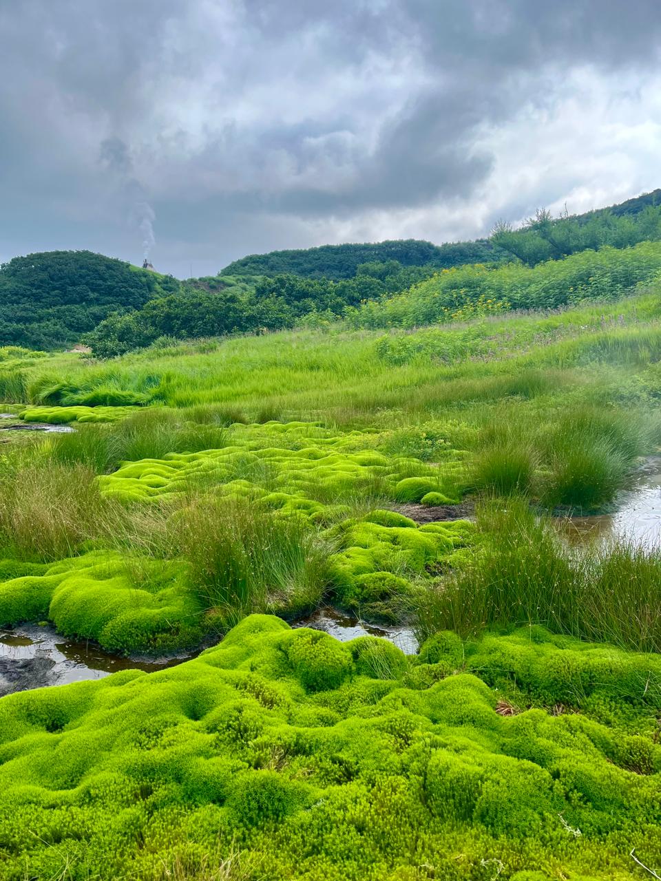 Трансфер в Камчатском крае