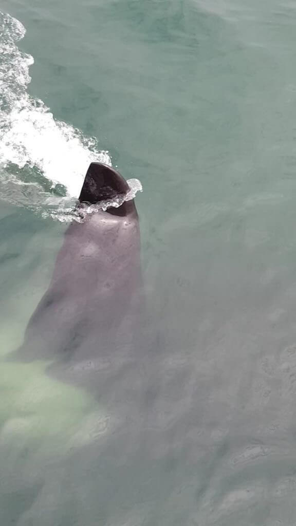 Трансфер в Камчатском крае