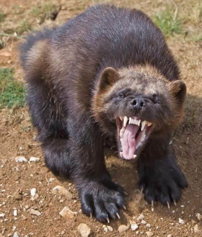 Трансфер в Камчатском крае